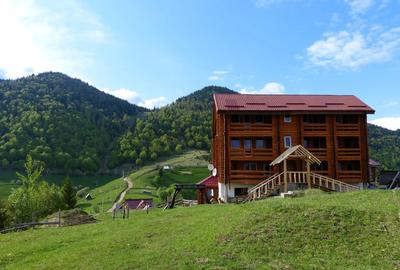 Ocazie! Vand cabana de bustean masiv in sat Pestera, com Moieciu, Brasov - 7