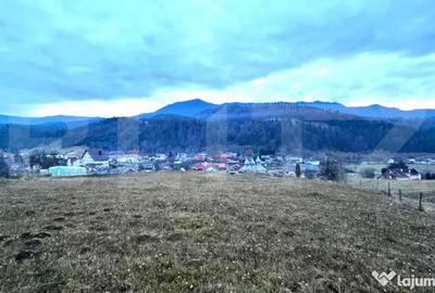 Teren de 2500 mp, în Colibița - 1