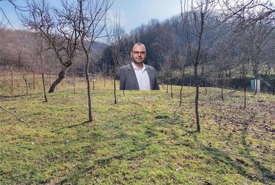Ciclova, Teren Intravilan, Centru, Pret Negociabil - 17