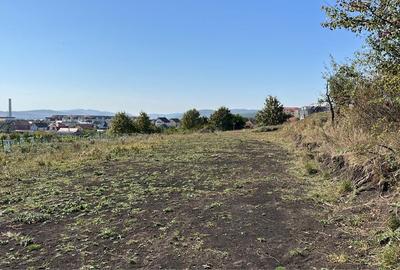 Spațiu comercial, în Petru Rareș - 4