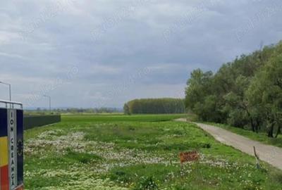 Teren de 2600 mp, în Ion Creangă