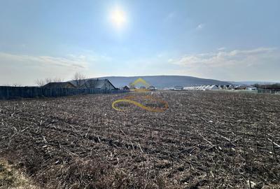 Teren Construcții intravilan de 3600 mp, în Hemeiuș - 6