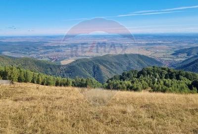 Teren agricol extravilan de 5609 mp, în Gura Râului - 1