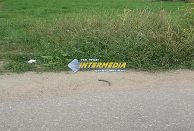 Teren de 1300 mp, în Bărăbanț - 1