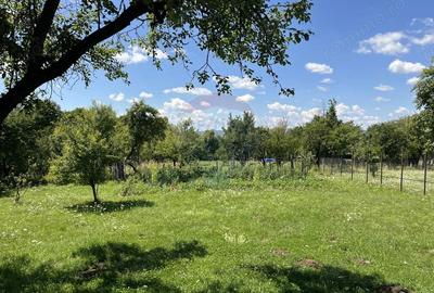 Casa superba de vanzare in Valea Mare - 1