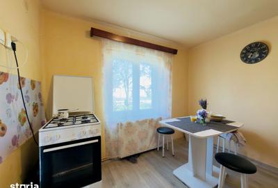 Casă cu 2 camere cu Teren 933 Mp în Sânmihaiu Român - 3