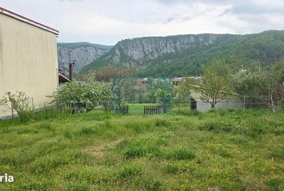 Casă cu 4 camere în Eibenthal - 4