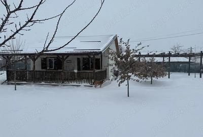 Casă cu 2 camere cu Teren 1250 Mp în Cămineasca - 4