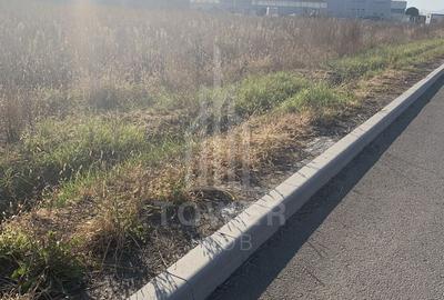 TEREN INTRAVILAN - ZONA INDUSTRIALA VEST-9000 mp, sau 18000 mp - 7