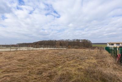 Teren Intravilan de Vânzare Balotești Locație excelentă, Comision 0% - 6