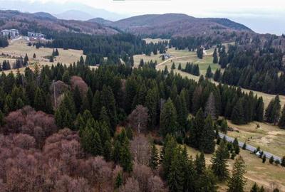 Teren cu potential:1.000 mp,proiect turistic rezidential,Poi - 7