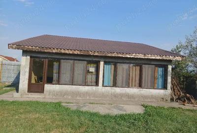 Casă cu Teren 1000 Mp în Câmpu Mare - 3