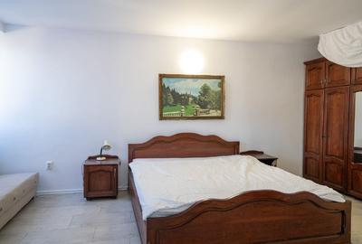 Spațiu comercial, de 715 mp, în Băile Felix - 11