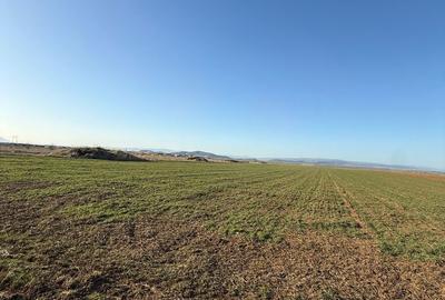 Spațiu comercial, în Tărlungeni - 1