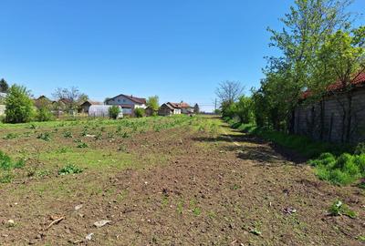 Casă individuală cu 3 camere cu Teren 2878 Mp în Smeeni - 2