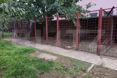 Teren de 1520 mp, în Păulești - 7