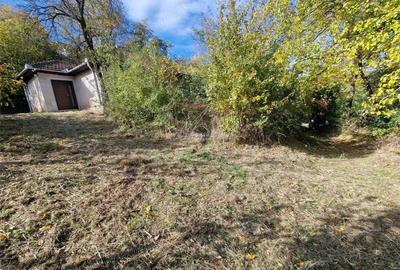 Resita Casa cu Teren privat 4670 Mp. - 4