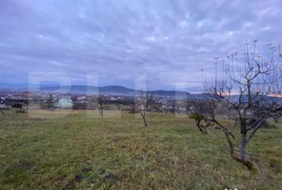 Teren de 1000 mp, în Unirea - 4