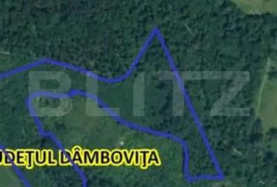 Teren de 160000 mp, în Central