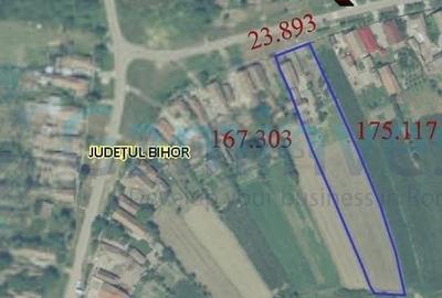 Casă individuală cu 3 camere cu Teren 4192 Mp în Bicaci - 5