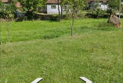 Casă cu 2 camere cu Teren 3350 Mp în Munteni - 6