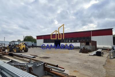 Spatiu industrial - hala productie si depozitare - PUCIOASA - 5