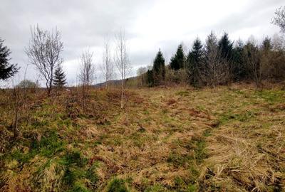 Teren Construcții extravilan de 996 mp, în Drăguș - 8