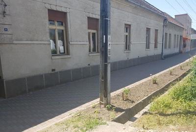 Casă cu 4 camere cu Teren 1217 Mp în Făget - 10