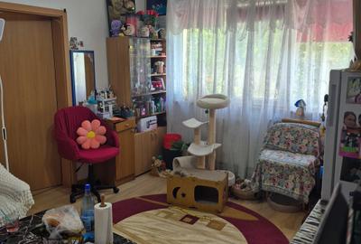 Apartament cu 2 camere nedecomandat în Șagului - 5