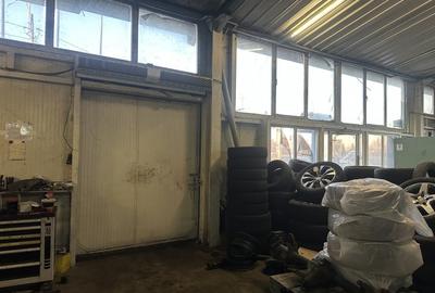 VOLUNTARI, HALA 250 MP! - 3