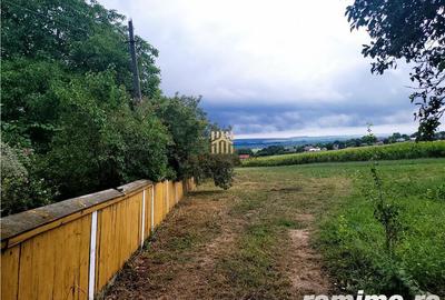 Casă cu 3 camere cu Teren 7000 Mp în Zvoriștea - 7