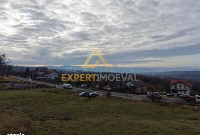 Teren de 10170 mp, în Dumbrăvița - 3