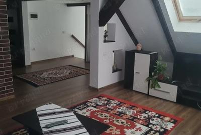 Vila+ teren de 2,2ha la 5 km de Vatra Dornei - 4