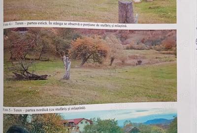 Teren de 10731 mp, în Sohodol