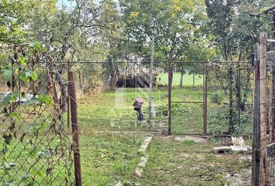 Casa individuala, zona Mehala, 740 mp teren - 11