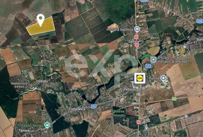 Teren Construcții intravilan de 450000 mp, în Corbeanca - 3