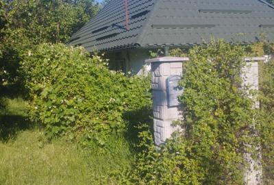 Casă cu 2 camere în Buciumi - 3