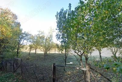 Teren de 4000 mp, în Ștubeiu - 1