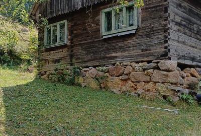 Casă cu 3 camere cu Teren 5800 Mp în Albac - 3