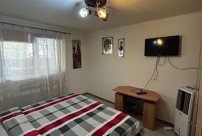 Apartament cu 2 camere semidecomandat, mobilat în Pârneava - 11