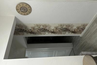 Apartament 3 camere, decomandar, parter, str. Grigore Procopiu - 4