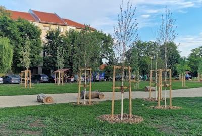 ÎNCHIRIEZ APARTAMENT o cameră confort 1,f. spațios, zona Centrală, Lunei/Complex - 9