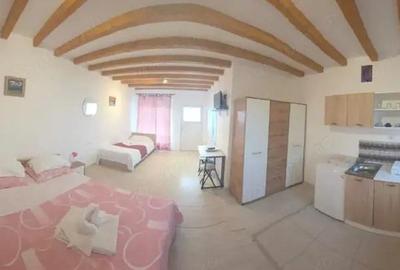 Pensiune Retrasa Ideala Petreceri Private Costinesti - Schitu - 7