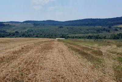 Spațiu comercial, în Rudicica - 4