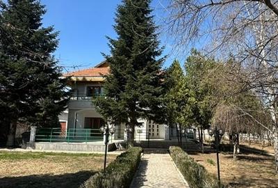 VILA SUPERBA CU CURTE, VEGETATIE SI ANEXE - 8