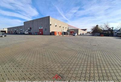 Hale noi in Baicoi, Ph--13.000mp--3e - 3