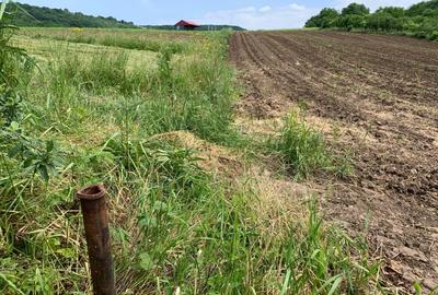 Teren intravilan | 5100 mp | zona Gusterita - 5