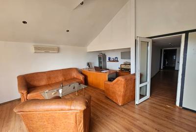 Spațiu industrial, în Coșereni - 3