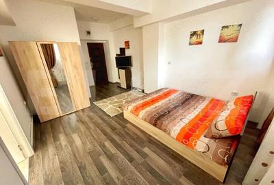 Garsoniera moderna, 33 mp, Petfrendly, zona Brazda lui Novac - 3