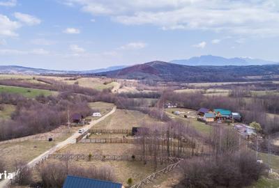 Spațiu comercial, în Predeluț - 11